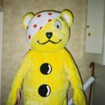 me as pudsey